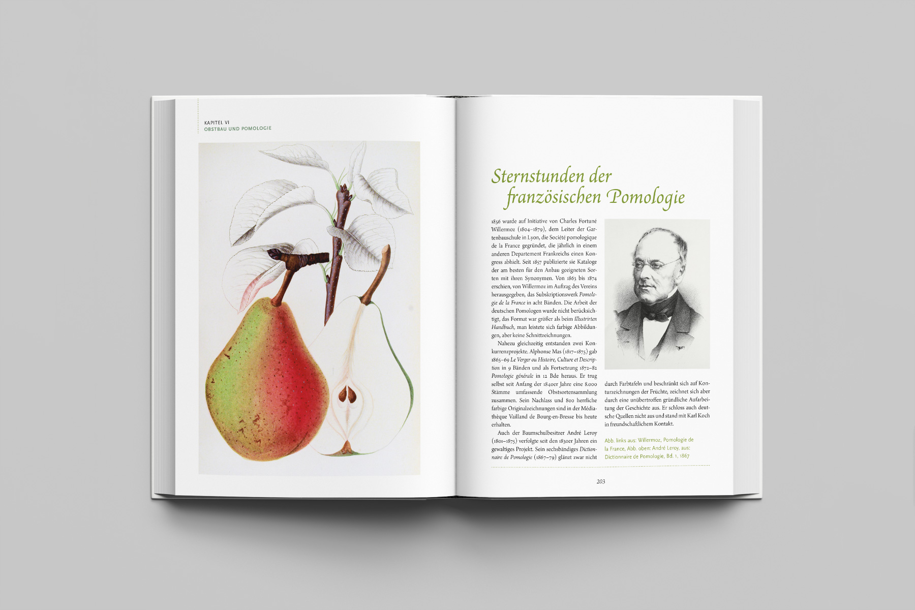 Doppelseite mit botanischer Illustration und Fachtext zum Thema Pomologie. Elegante Buchgestaltung mit klassischer Anmutung.